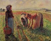 卡米耶 毕沙罗 : Picking Peas